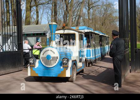 Treno Brother, un treno turistico che entra nel parco inferiore del Palazzo di Peterhof a San Pietroburgo, Russia Foto Stock