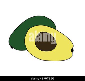 Disegno vettoriale avocado colorato. Illustrazione delle migliori risorse grafiche. grafica vettoriale per icone e simboli e logo design e cancelleria Illustrazione Vettoriale