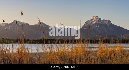 Sunrise, Hopfensee, vicino a Fuessen, Ostallgaeu, Allgaeu, Swabia superiore, Swabia, Baviera, Germania Foto Stock