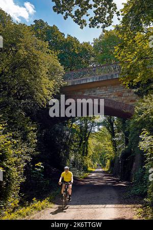 Ponte sulla pista ciclabile Rheinischer Esel con ciclista, Dortmund, Ruhr Area, Nord Reno-Westfalia, Germania Foto Stock