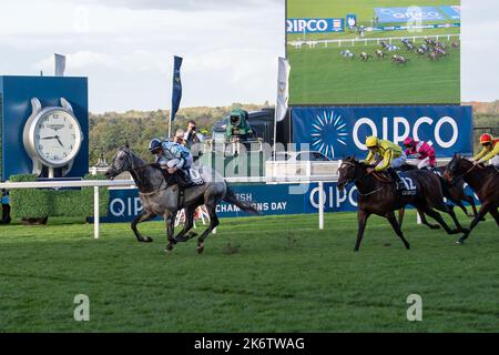 Ascot, Berkshire, Regno Unito. 15th ottobre 2022. Horse Shelir guidato dal jockey Jason Watson vince la Balmoral handicap Stakes (Classe 2) Race al QIPCO British Champions Day all'ippodromo di Ascot. Titolare Akela Thoroughbreds Ltd. Allenatore David o'Meara, Upper Helmsley. Allevatore HH i prigionieri di Aga Khan SC2. Sponsor Akela Plant Hire Ltd. Credit: Maureen McLean/Alamy Live News Foto Stock