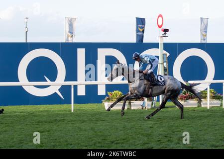 Ascot, Berkshire, Regno Unito. 15th ottobre 2022. Horse Shelir guidato dal jockey Jason Watson vince la Balmoral handicap Stakes (Classe 2) Race al QIPCO British Champions Day all'ippodromo di Ascot. Titolare Akela Thoroughbreds Ltd. Allenatore David o'Meara, Upper Helmsley. Allevatore HH i prigionieri di Aga Khan SC2. Sponsor Akela Plant Hire Ltd. Credit: Maureen McLean/Alamy Live News Foto Stock