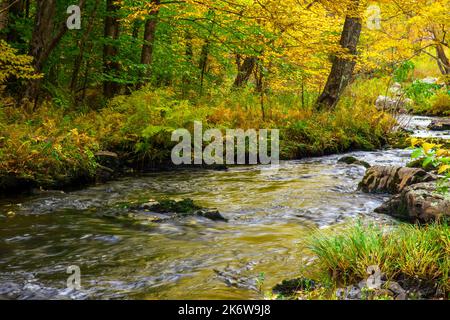 Tobyhanna Creek, è un flusso di trote di alta qualità,. E' lungo 29,9 miglia affluente dei fiumi Lehigh e Delaware nelle Montagne Pocono dell'Est Foto Stock