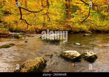 Tobyhanna Creek, è un flusso di trote di alta qualità,. E' lungo 29,9 miglia affluente dei fiumi Lehigh e Delaware nelle Montagne Pocono dell'Est Foto Stock