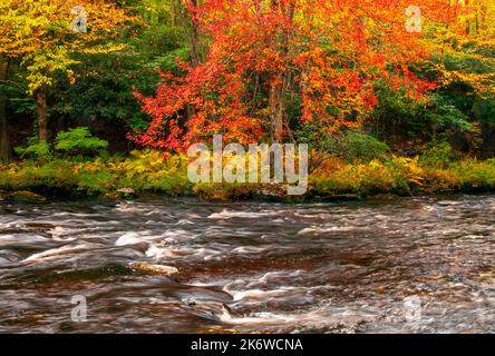 Tobyhanna Creek, è un flusso di trote di alta qualità,. E' lungo 29,9 miglia affluente dei fiumi Lehigh e Delaware nelle Montagne Pocono dell'Est Foto Stock