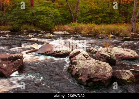 Tobyhanna Creek, è un flusso di trote di alta qualità,. E' lungo 29,9 miglia affluente dei fiumi Lehigh e Delaware nelle Montagne Pocono dell'Est Foto Stock