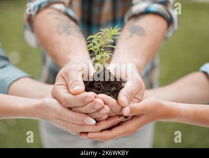 Un futuro nelle nostre mani. una persona non riconoscibile che tiene una pianta che cresce dal suolo. Foto Stock