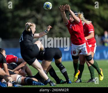 Il Wales' Beth Lewis cerca di caricare il calcio Kendra Cocksedge della Nuova Zelanda durante la piscina Women's Rugby World Cup, Una partita al Waitakere Stadium, Auckland, Nuova Zelanda. Data immagine: Domenica 16 ottobre 2022. Foto Stock