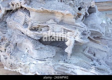 Antico vecchio legno pietrificato, scavi, minerali, come sfondo bello primo piano vista frontale stretta linea di messa a fuoco, profondità poco profonda del campo macro Foto Stock