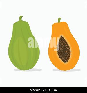 Illustrazione del vettore di frutta papaya intera e fetta Illustrazione Vettoriale