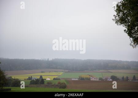 mattina misty nella campagna vicino a Regensburg in autunno. Foto di alta qualità Foto Stock