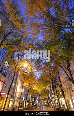 Wien, Mariahilferstraße im Herbst, Allee, Säulengleditdschie // Vienna, Mariahilfer Strasse in autunno, Gleditsia triacanthos 'Skyline' Foto Stock