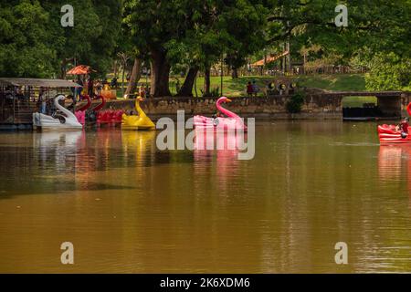 Goiânia, Goias, Brasile – 12 ottobre 2022: Dettaglio del Lago delle rose con pedalò per le persone a Buon divertimento. Foto Stock