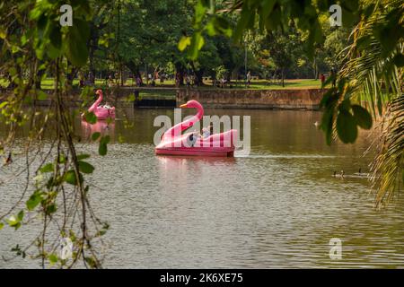 Goiânia, Goias, Brasile – 12 ottobre 2022: Due colorate barche a remi sul lago Roses visto attraverso gli alberi del parco. Foto Stock