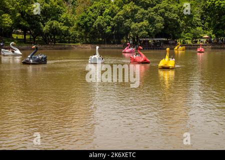 Goiânia, Goias, Brasile – 12 ottobre 2022: Dettaglio del Lago delle rose con pedalò per le persone a Buon divertimento. Foto Stock