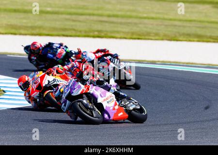 16th ottobre 2022 ; Phillip Island Grand Prix Circuit, Melbourne, Victoria, Australia: MotoGP d'Australia, giorno di gara: PRAMAC Racing rider Jorge Martin durante la gara Credit: Action Plus Sports Images/Alamy Live News Foto Stock