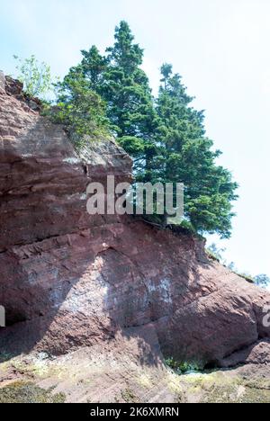 La scogliera erosa in Fundy Trail durante la bassa marea nel villaggio di Saint Martins (New Brunswick, Canada). Foto Stock