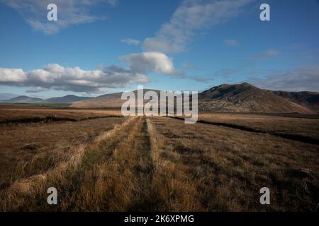 Terre di torba vicino lough Gar durante l'autunno. Co. Mayo, Irlanda. Wild Nephin Mountains all'orizzonte. Foto Stock