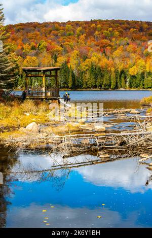 Mauricie, Canada - Ott 08 2022: Foto mostra la vista nel parco nazionale Mauricie in autunno colorato Foto Stock