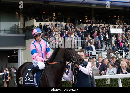 Ascot, Berkshire, Regno Unito. 15th ottobre 2022. Horse CheckandChallenge guidato dal jockey Jim Crowley si dirige sulla pista per correre nelle Queen Elizabeth II Stakes (Classe 1) (sponsorizzate da QIPCO), (Gruppo 1), (British Champions Mile). Credito: Maureen McLean/Alamy Foto Stock