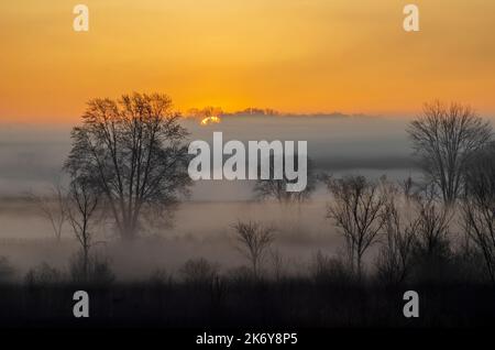 Il sole sorge sopra le praterie e alcuni alberi al Phyllis Haehnle Memorial Sanctuary nella Contea di Jackson, Michigan Foto Stock