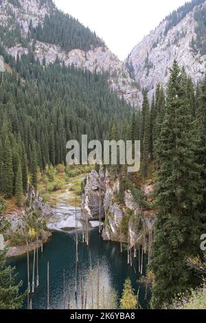 Lago Kaindy 'foresta di betulla unken', Parco Nazionale dei Laghi di Kolsay, Saty, Monti Tien Shan, Regione di Almaty, Kazakhstan, Asia centrale Foto Stock