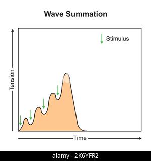 Progettazione scientifica di Wave Summation. Simboli colorati. Illustrazione vettoriale. Illustrazione Vettoriale