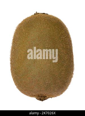 Kivifruit realistico o Actinidia deliciosa (bacche d'oca cinesi) isolato su sfondo bianco Foto Stock