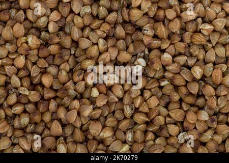 Foto full-frame ad angolo alto di grani di grano saraceno integrali che fanno il motivo per lo sfondo, la carta da parati Foto Stock