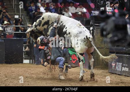 Glendale, Arizona, Stati Uniti. 15th Ott 2022. GLENDALE, AZ - 15 OTTOBRE: Il pilota Ezechiel Mitchell dell'Austin Gamblers è nascosto da bull Sky Harbor durante i PBR Ridge Rider Days presso la Desert Diamond Arena il 15 ottobre 2022 a Glendale, AZ, Stati Uniti. (Credit Image: © Alejandro Salazar/PX Imagens via ZUMA Press Wire) Foto Stock