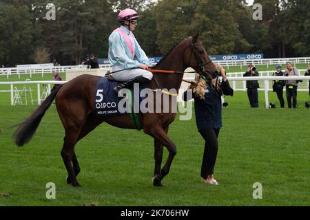 Ascot, Berkshire, Regno Unito. 15th ottobre 2022. Horse Helvic Dream guidato dal jockey Oisin Orr sulla pista davanti al campione QIPCO Stakes (Classe 1) (campioni britannici a metà distanza) (Gruppo 1). Credito: Maureen McLean/Alamy Foto Stock