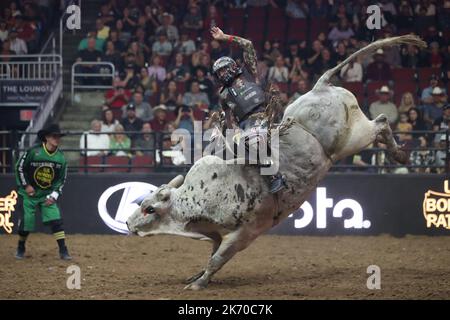 Glendale, Arizona, Stati Uniti. 15th Ott 2022. GLENDALE, Arizona - 15 OTTOBRE: Il pilota Andrew Alvidrez del Missouri Thunder cavalca bull the Punisher durante i PBR Ridge Rider Days alla Desert Diamond Arena il 15 ottobre 2022 a Glendale, Arizona, Stati Uniti. (Credit Image: © Alejandro Salazar/PX Imagens via ZUMA Press Wire) Foto Stock