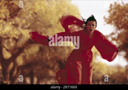 ZIYI Zhang, eroe, 2002 Foto Stock