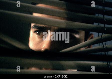 JESSE BRADFORD, SWIMFAN, 2002 Foto Stock