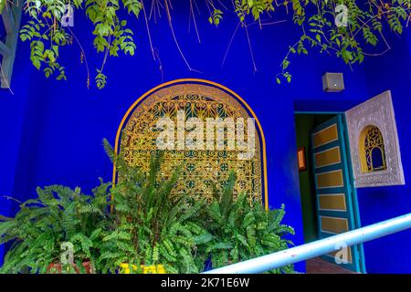 Marocco, Marrakech, Yves San Laurent Gardens o le Jardin Majorelle, 1 dicembre 2019: Incredibili giardini tropicali Foto Stock