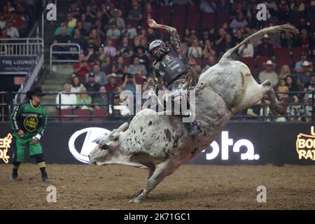 GLENDALE, AZ - 15 OTTOBRE: Il pilota Andrew Alvidrez del Missouri Thunder cavalca bull the Punisher durante i PBR Ridge Rider Days alla Desert Diamond Arena il 15 ottobre 2022 a Glendale, AZ, Stati Uniti.(Photo by Alejandro Salazar/PxImages) Credit: PX Images/Alamy Live News Foto Stock