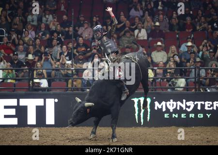 GLENDALE, AZ - 15 OTTOBRE: Il pilota Luke Parkinson del Missouri Thunder cavalca il toro durante i giorni del Rider di PBR Ridge alla Desert Diamond Arena il 15 ottobre 2022 a Glendale, AZ, Stati Uniti.(Photo by Alejandro Salazar/PxImages) Credit: PX Images/Alamy Live News Foto Stock