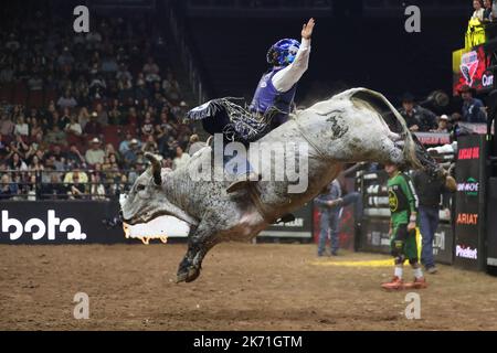 GLENDALE, AZ - 15 OTTOBRE: Il pilota Kaique Pacheco del Nashville Stampede cavalca la prima volta in giù durante i PBR Ridge Rider Days alla Desert Diamond Arena il 15 ottobre 2022 a Glendale, AZ, Stati Uniti.(Photo by Alejandro Salazar/PxImages) Credit: PX Images/Alamy Live News Foto Stock