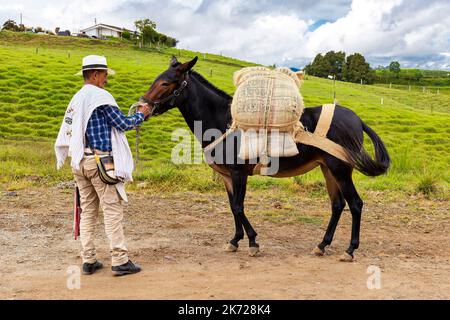 El Peñol, Antioquia - Colombia - 25 maggio 2022. I mulattieri paisa dovevano percorrere le ripide e pericolose strade di Antioquia Foto Stock