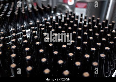 Bottiglie di vino presso l'azienda vinicola vista dall'alto Foto Stock