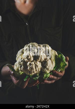Cavolo cavolo cavolo con foglie in mani femminili, cibo autunnale, raccolto, concetto di vegetarismo. Immagine a toni in stile tasto basso Foto Stock