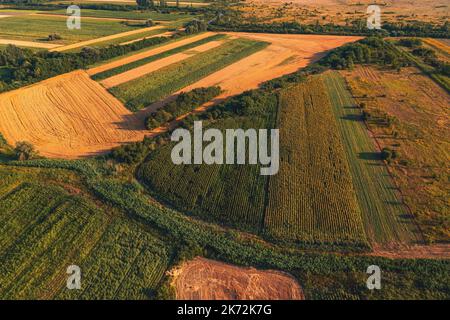 Ripresa aerea del paesaggio di campagna con campi coltivati dal drone pov al tramonto estivo. Paesaggio colorato con piantagione agricola patc Foto Stock