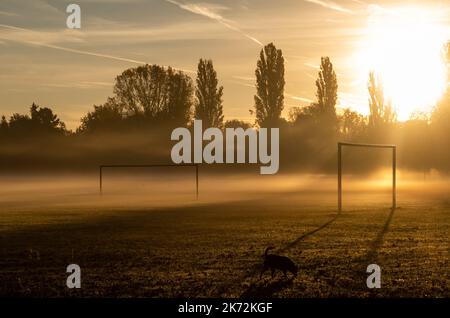 17 ottobre 2022, Baviera, Fürth: I raggi del sole nascente strisciare attraverso la nebbia di mattina presto su un prato. Foto: Daniel Karmann/dpa Foto Stock