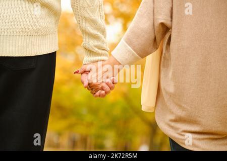 Mani che tengono insieme su uno sfondo naturale Foto Stock