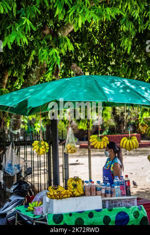 Tempio Wat Suwan Khuha nella grotta con statue di buddha, a Phang Nga, Thailandia Foto Stock