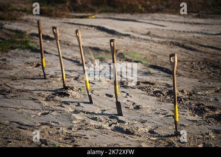 Potsdam, Germania. 17th Ott 2022. Cinque spade sono bloccate nel terreno presso il cantiere di costruzione del deposito d'arte centrale (ZED) per il deposito di scultura dei palazzi e giardini prussiani Fondazione Berlino-Brandeburgo (SPSG). Con una cerimonia simbolica, la nuova costruzione del deposito iniziò ufficialmente sul sito dell'ex ReichsbahnausbesserungswerkRAW vicino alla stazione ferroviaria principale di Potsdam. Credit: Soeren Stache/dpa/Alamy Live News Foto Stock