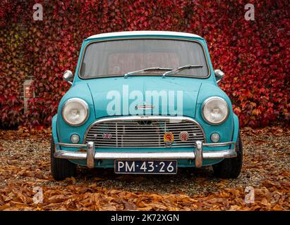 Brummen, Provincia Gelderland, Paesi Bassi, 15.10.2022, Vista frontale della vettura classica BMC Austin Cooper S dal 1964 in colore blu Foto Stock