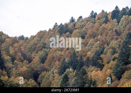 Pian del cansiglio durante la stagione autunnale. Venezia, 9 ottobre 2022 Foto Stock