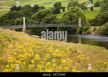 Il ponte sospeso sul fiume Swale vicino a Reeth, nello Yorkshire Dales, Regno Unito Foto Stock