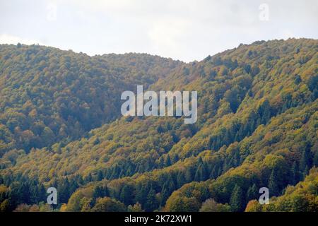 Pian del cansiglio durante la stagione autunnale. Venezia, 9 ottobre 2022 Foto Stock